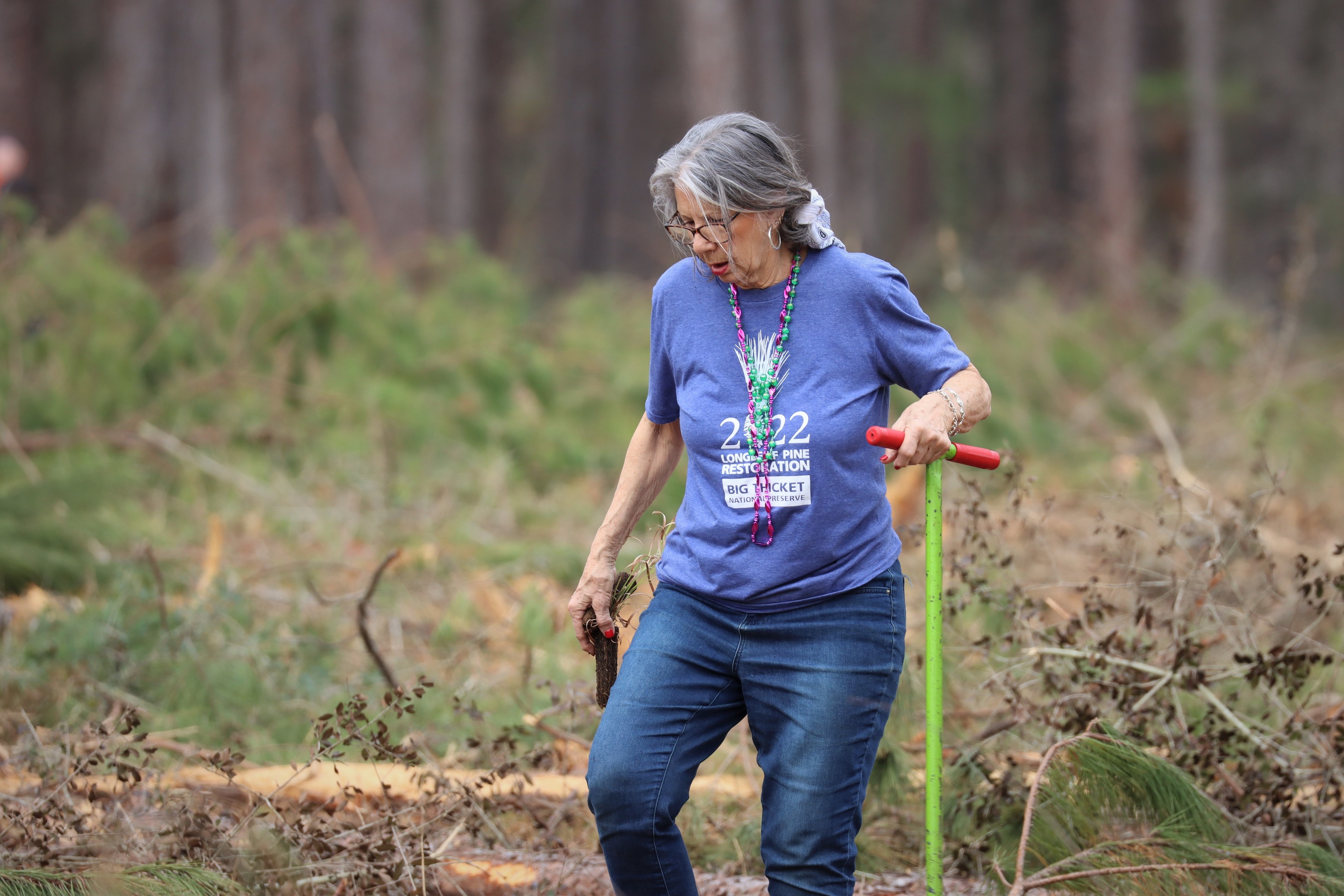 A volunteer in a light purple shirt walking with a green dibble bar and handful of grass seedlings