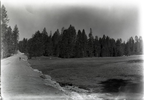 Museum No: YOSE 87116; Work of deforestation at Bridalveil Meadows. C-4 finished clearing. Before road was paved. (Could C-4 refer to CCC Camp 4?)