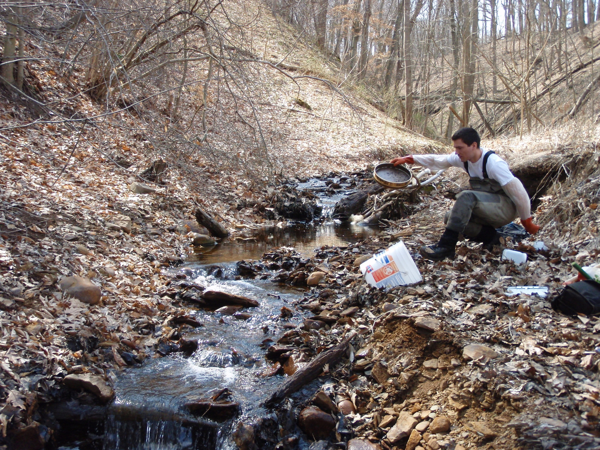 Site visit photo showing the upstream (UP) or downstream (DN) view of a wadeable stream reach taken during benthic macroinvertebrate monitoring at Friendship Hill National Historic Site.