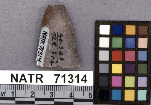 NATR   71314 -- Untyped projectile point