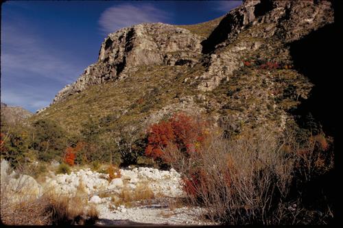 Views at Guadalupe Mountains National Park, Texas