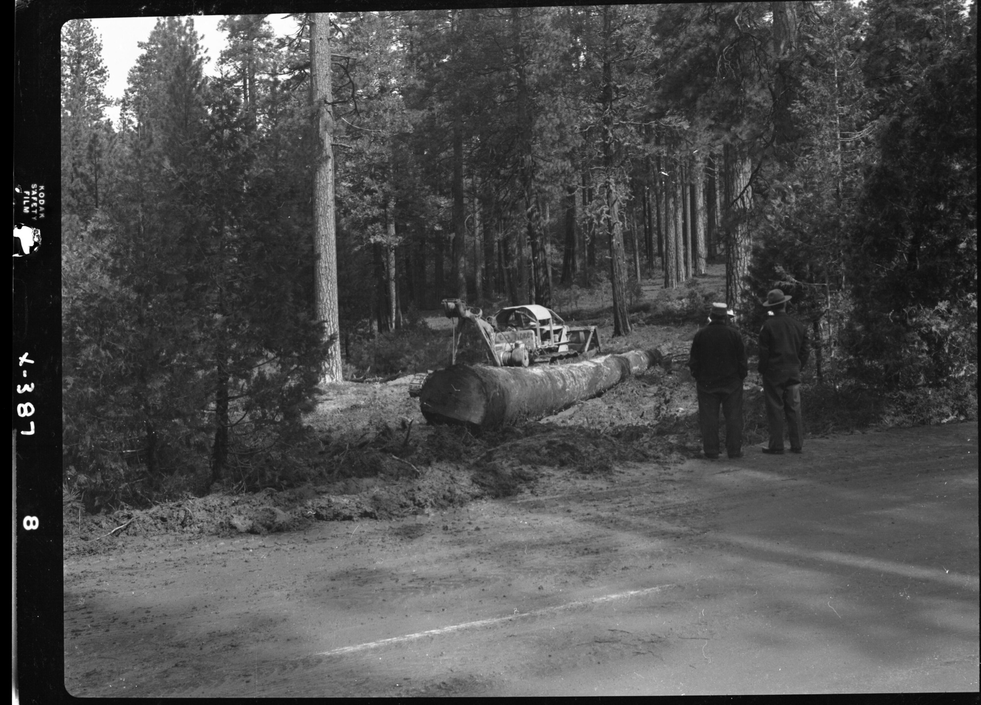 Logging Timber for Bridge.