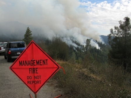 Wawona NW Prescribed Burn, daytime