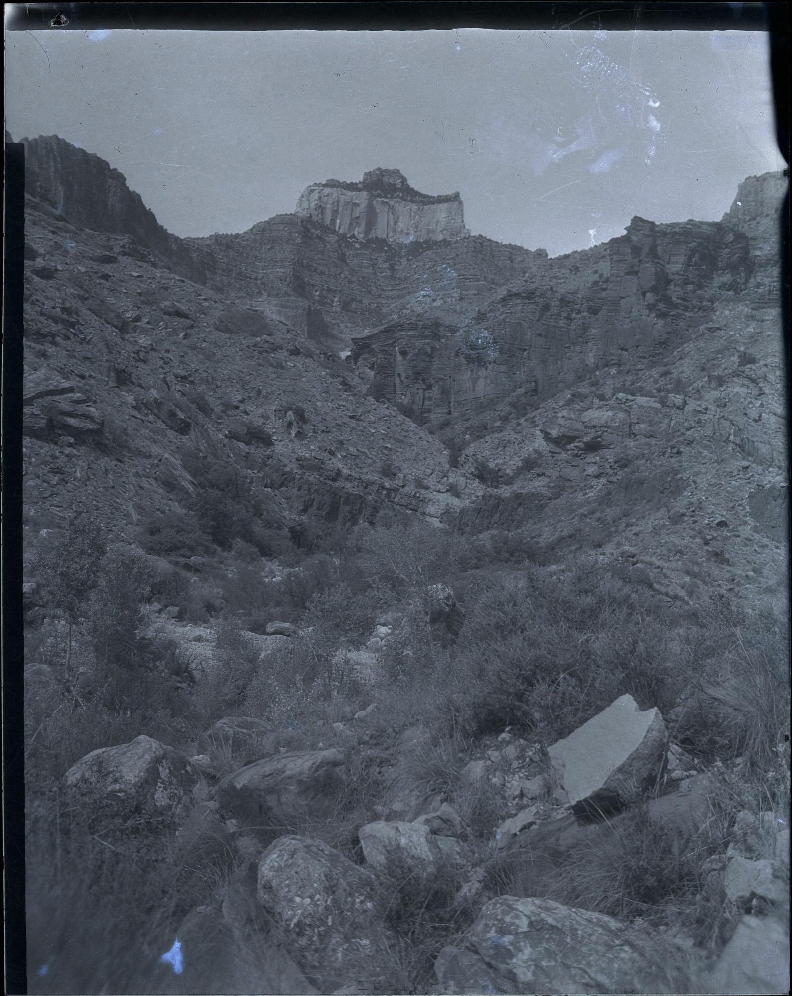 BRCA Museum and Archives Image