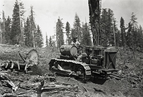 Copy Neg: Leroy Radanovich, November 2001. Yosemite Lumber co. Caterpillar 60 in operation. Museum Collections Cat. No. YOSE 81676.
