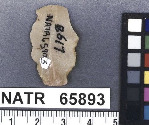 NATR   65893 -- Untyped projectile point