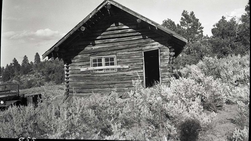 East Rim shelter cabin, Building 136, where trail tops out onto mesa. Plateau forest area, possibly pinyon, juniper and sage brush in foreground.