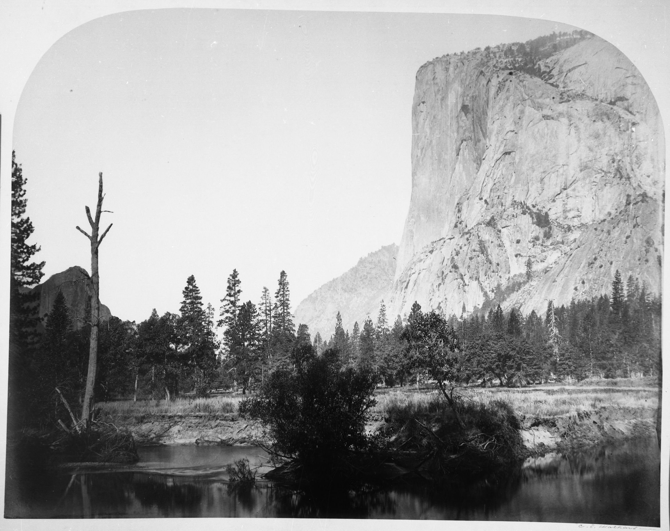 Copy Neg: Jack Gyer.