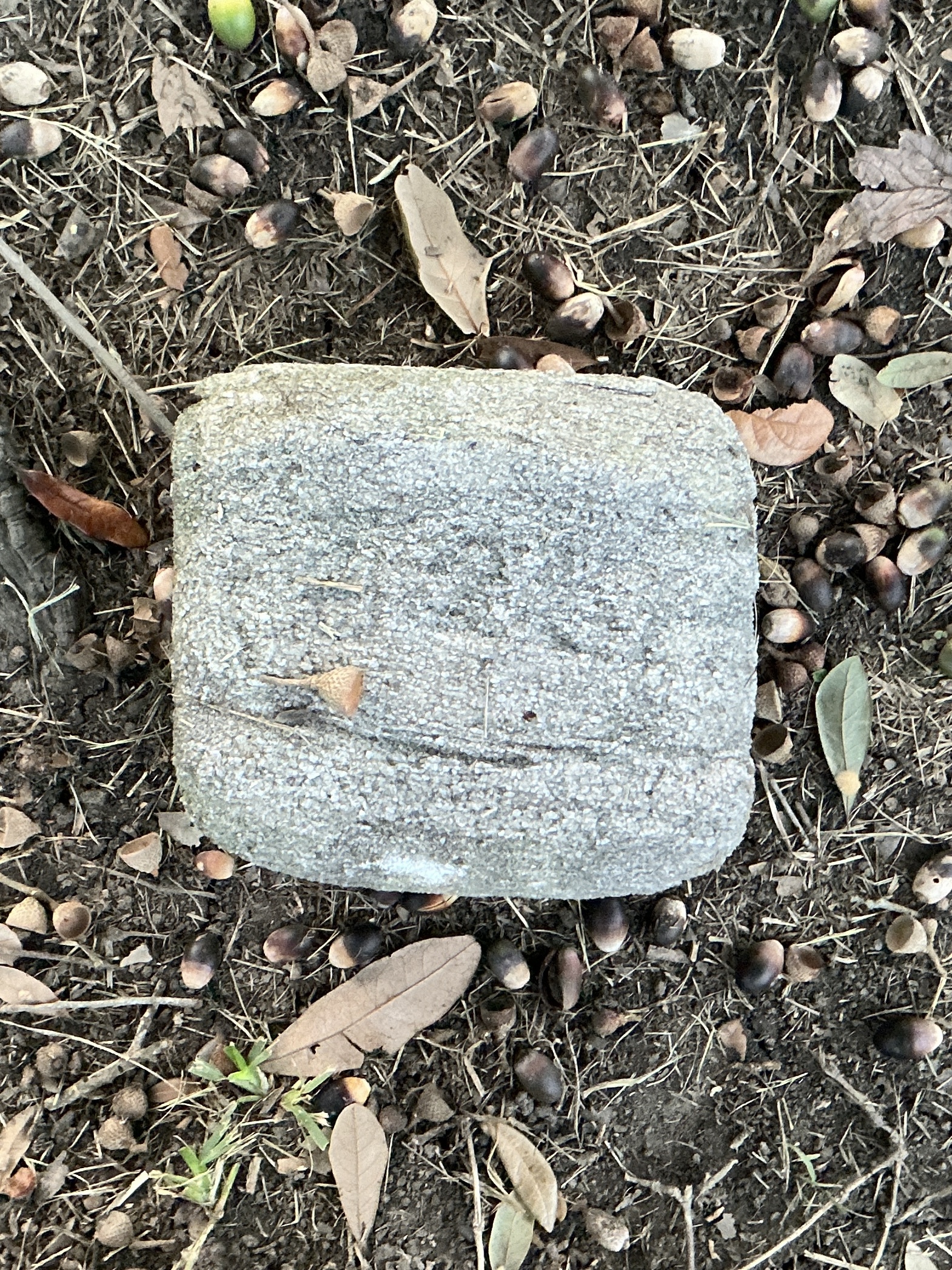 Top of flat marble marker