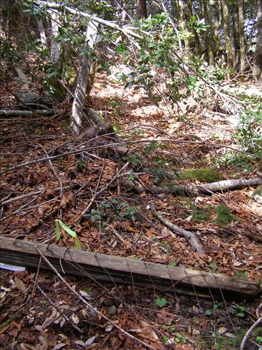 Coyote Peak Boundary Fence Before and After