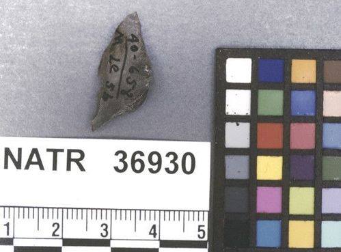 NATR   36930 -- Untyped projectile point