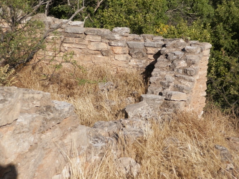 Masonry walls form a corner with grass and tree growing inside the dwelling.
