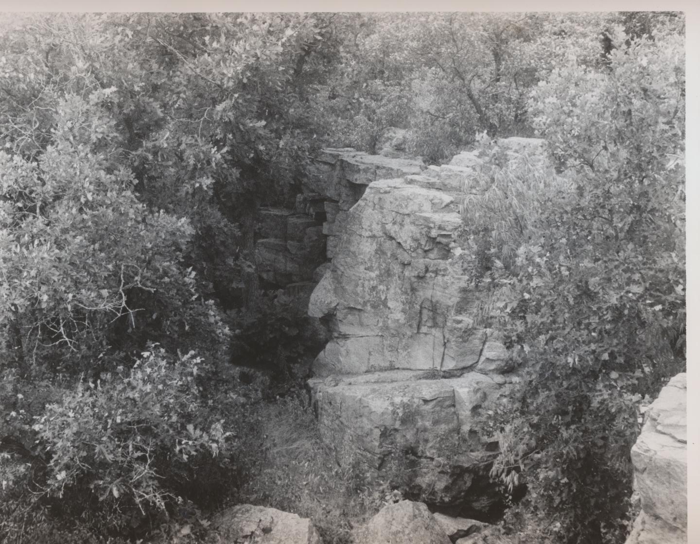 Profile of a face in stone surrounded by trees