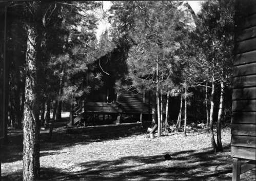 Bruce property, Section 35, Wawona