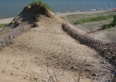Windbreaks installed on the slope of Mt. Baldy
