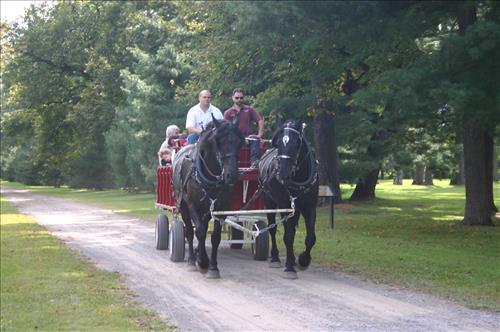 2011 Harvest Day at Lindenwald taken September 17 2011