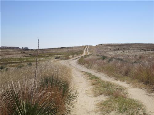 BADL_Sheep_Mountain_Road-South_Unit_03