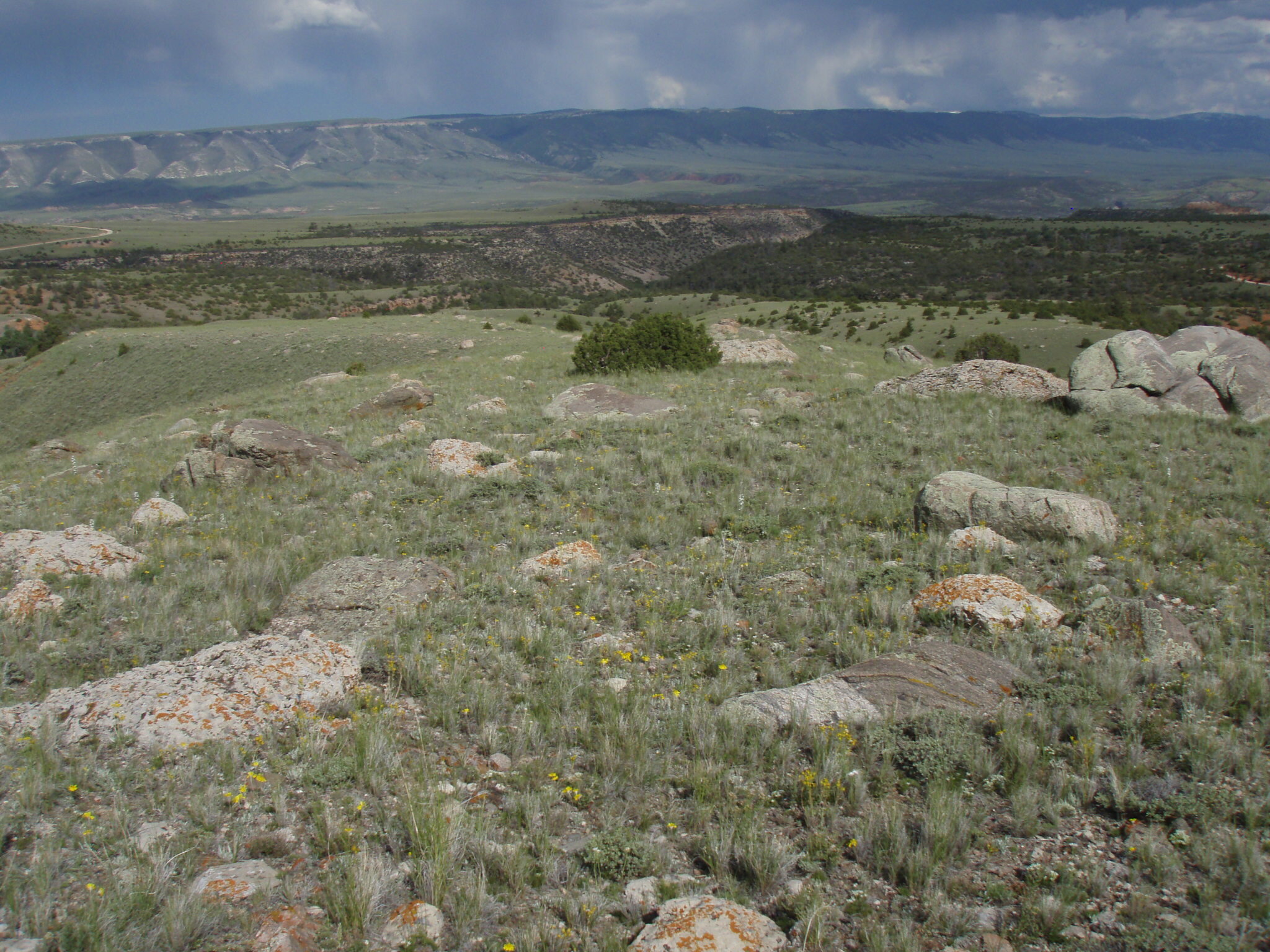 GRYN Vegetation Monitoring Photo Point 2.