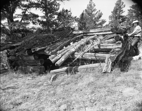Pioneer cabin along trail to Mono Pass.