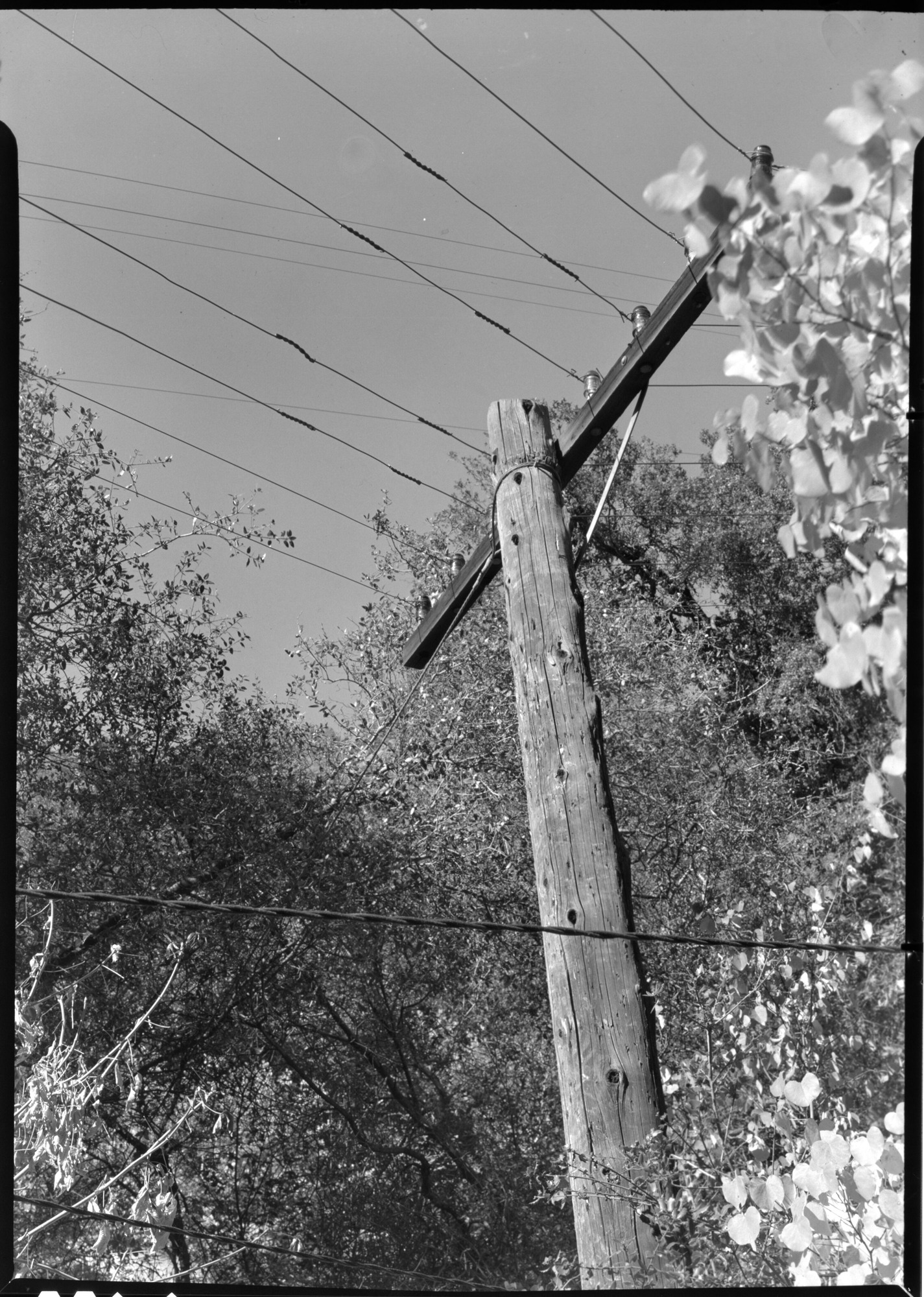Telephone Lines below Arch Rock