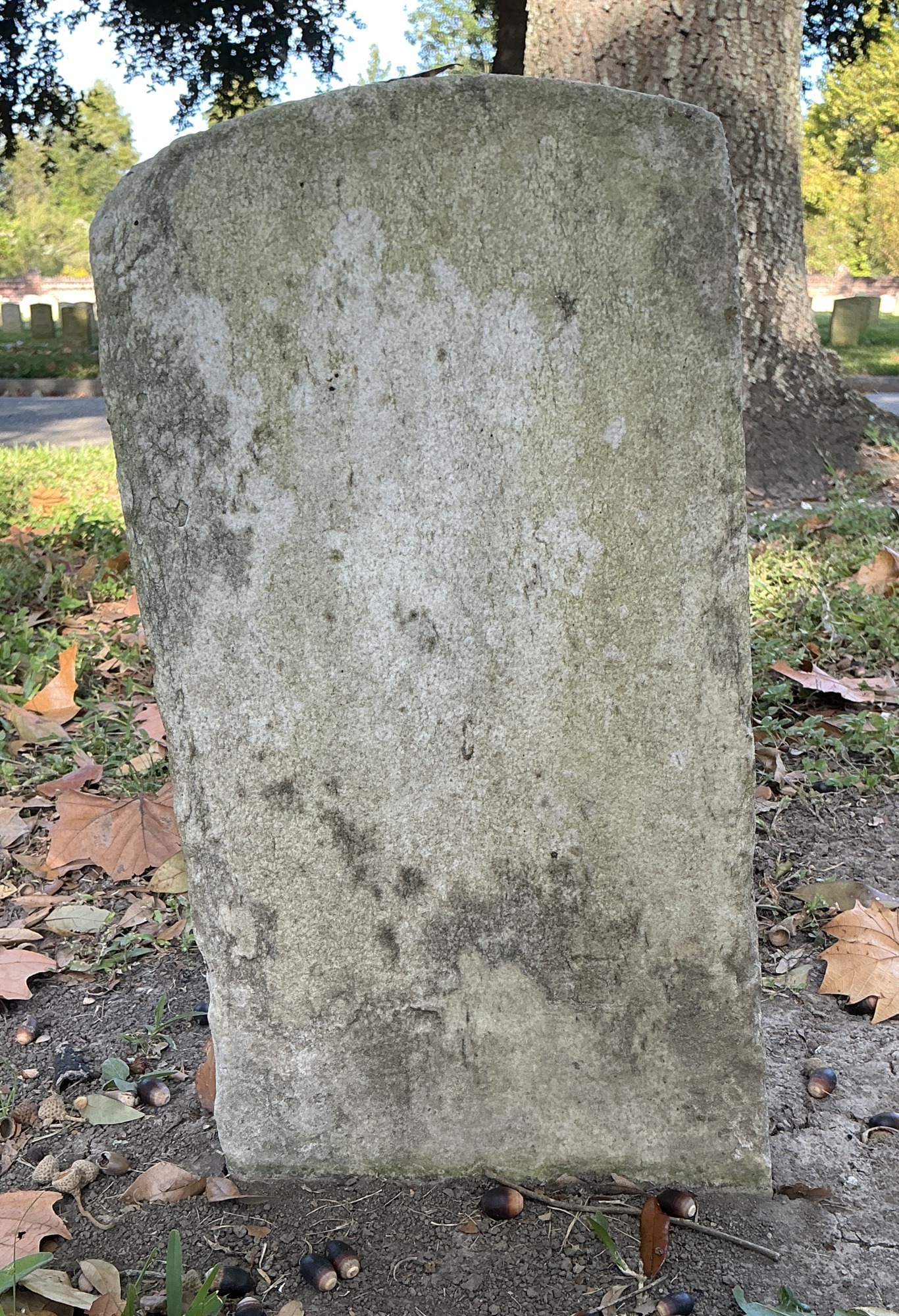 Back of historic upright marble headstone with recessed shield face.