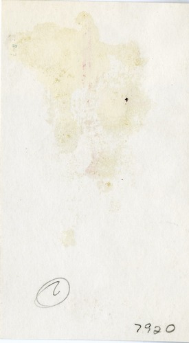 Wooden Leg Holding a Gun with a Blowing Tie