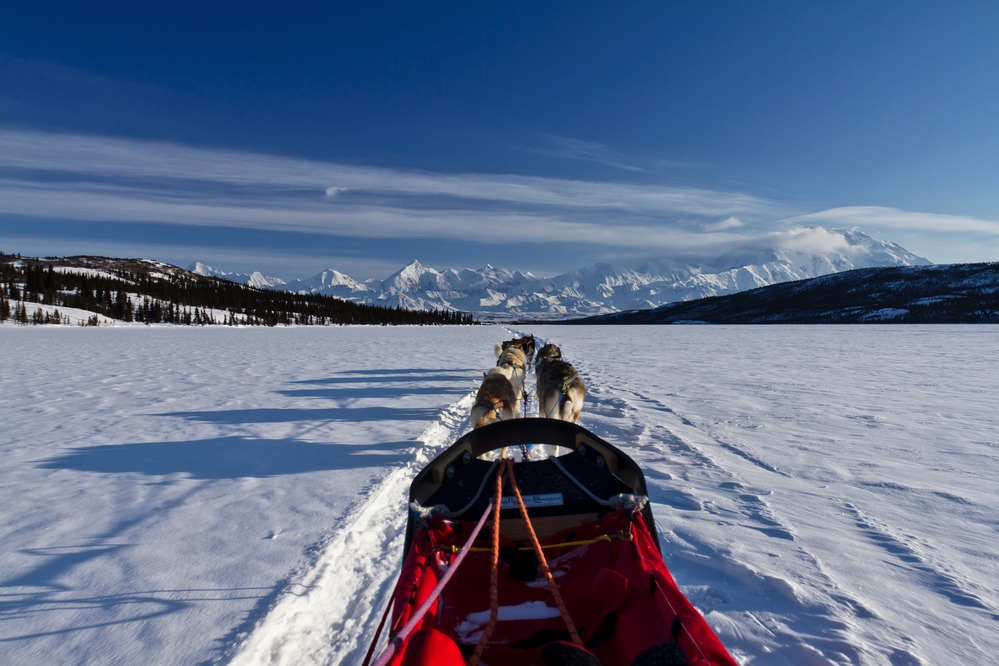 looking over a sled and dog team at a snowy landscape