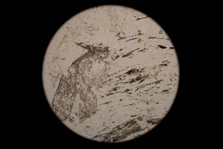 Circular microscopic image of rock structure.