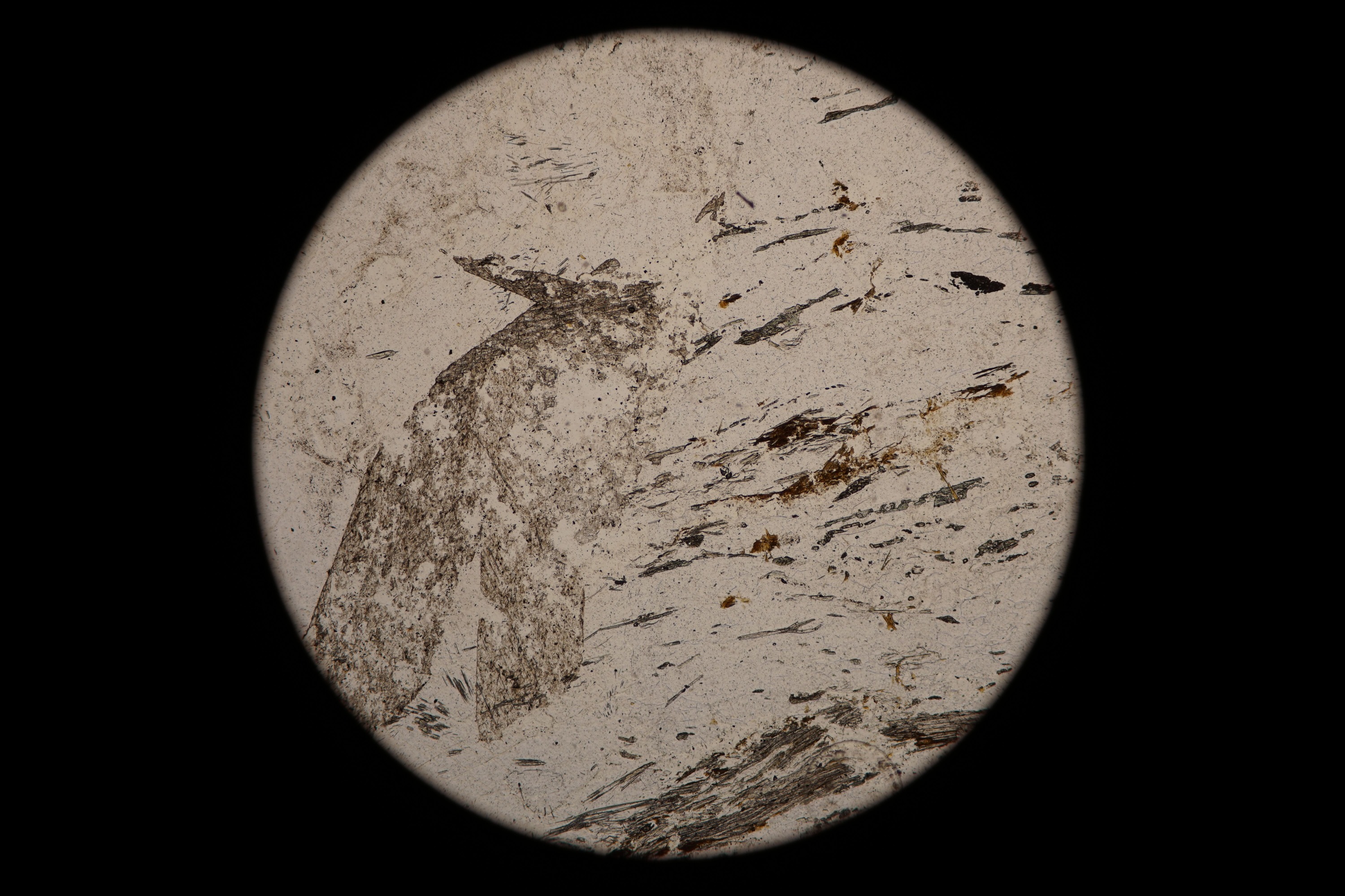 Circular microscopic image of rock structure.