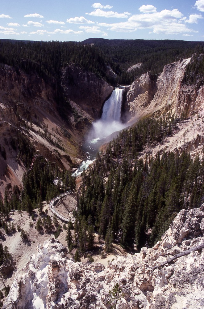 Wall, trees, and Lower Falls of the Grand Canyon of the Yellowstone as seen from Lookout Point; no date; Accession No. 13799