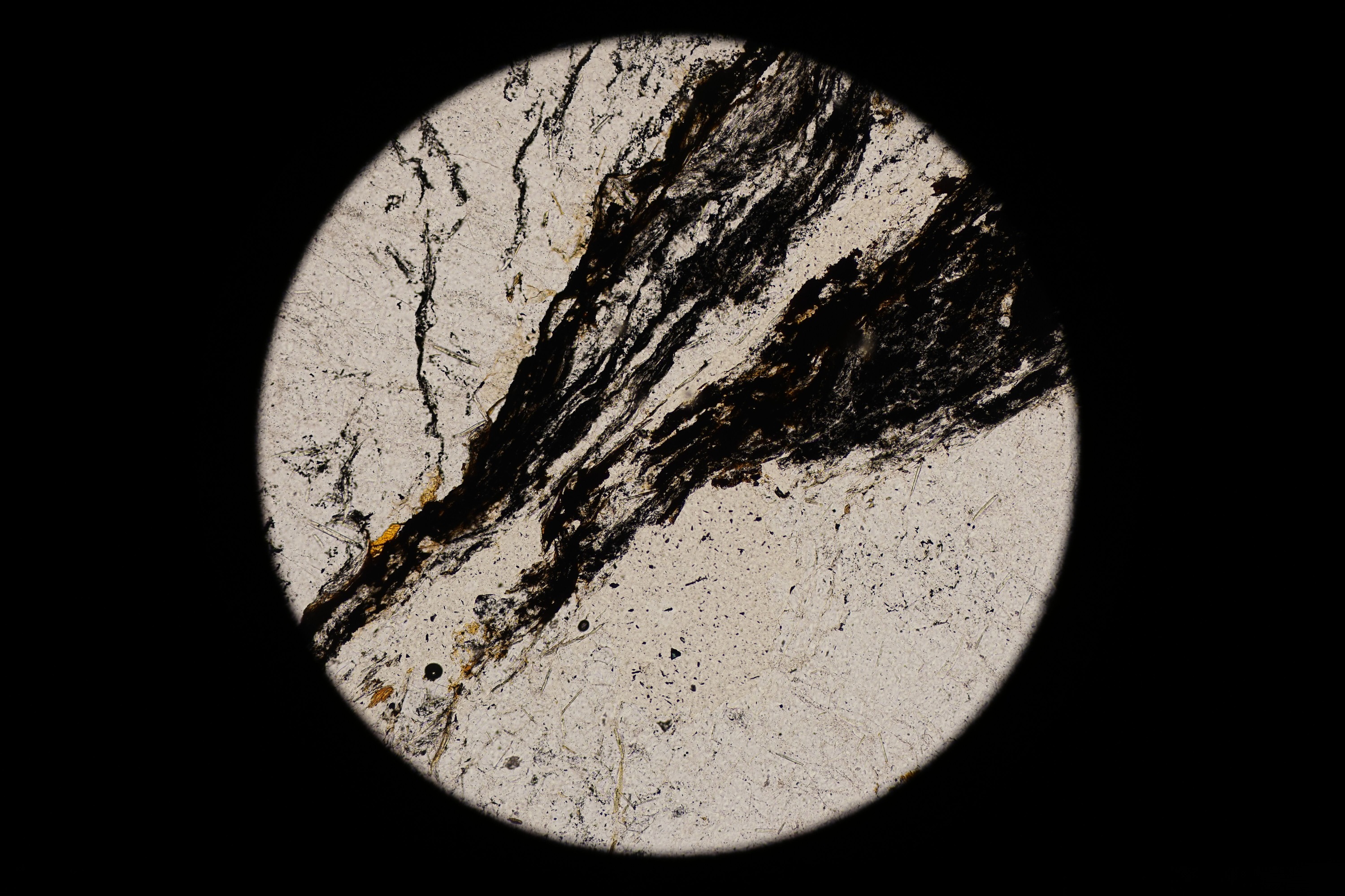 Circular microscopic image of rock structure.