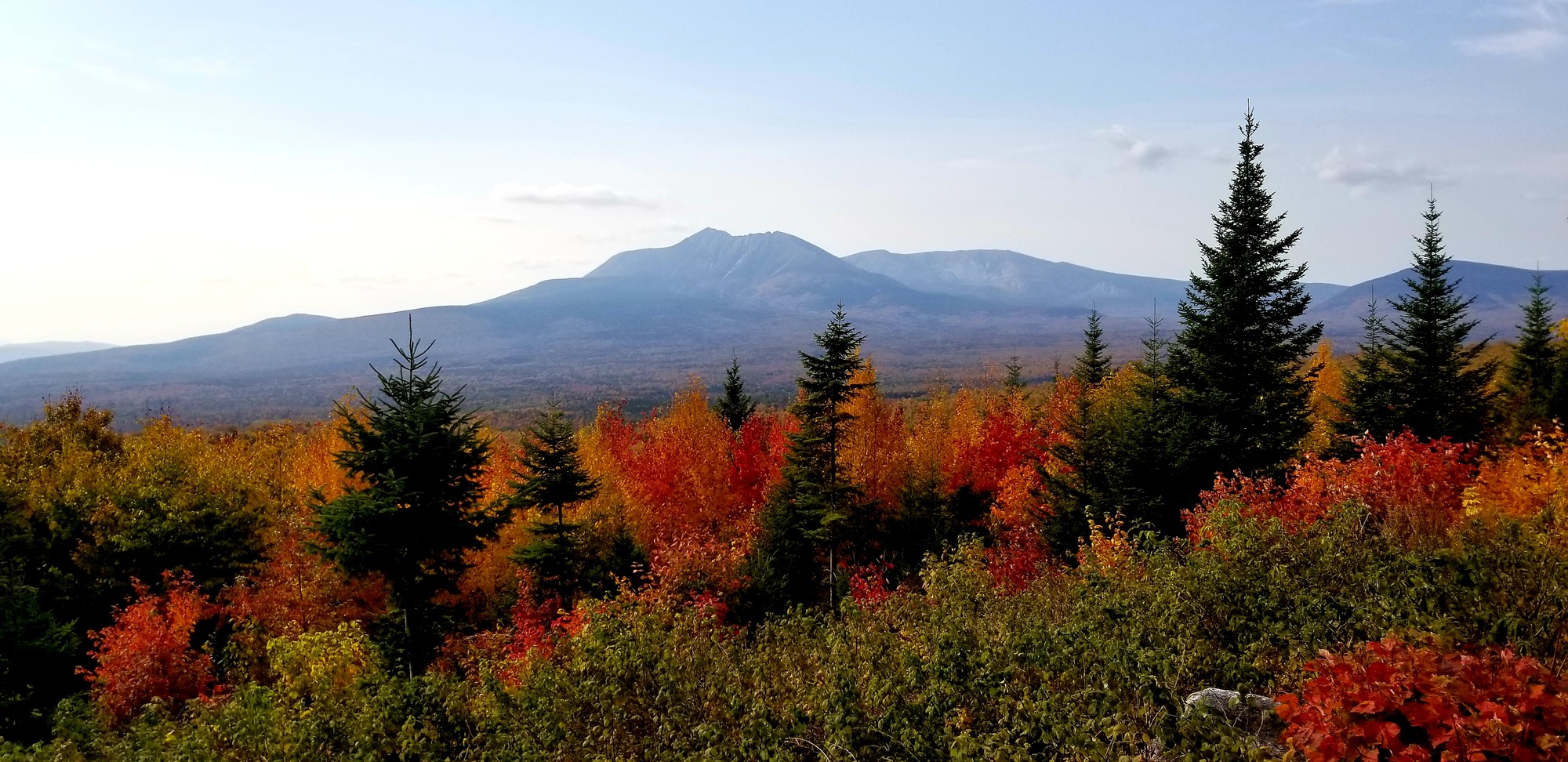 A mountain range in the distance behind yellow and red fall foliage and pine trees.