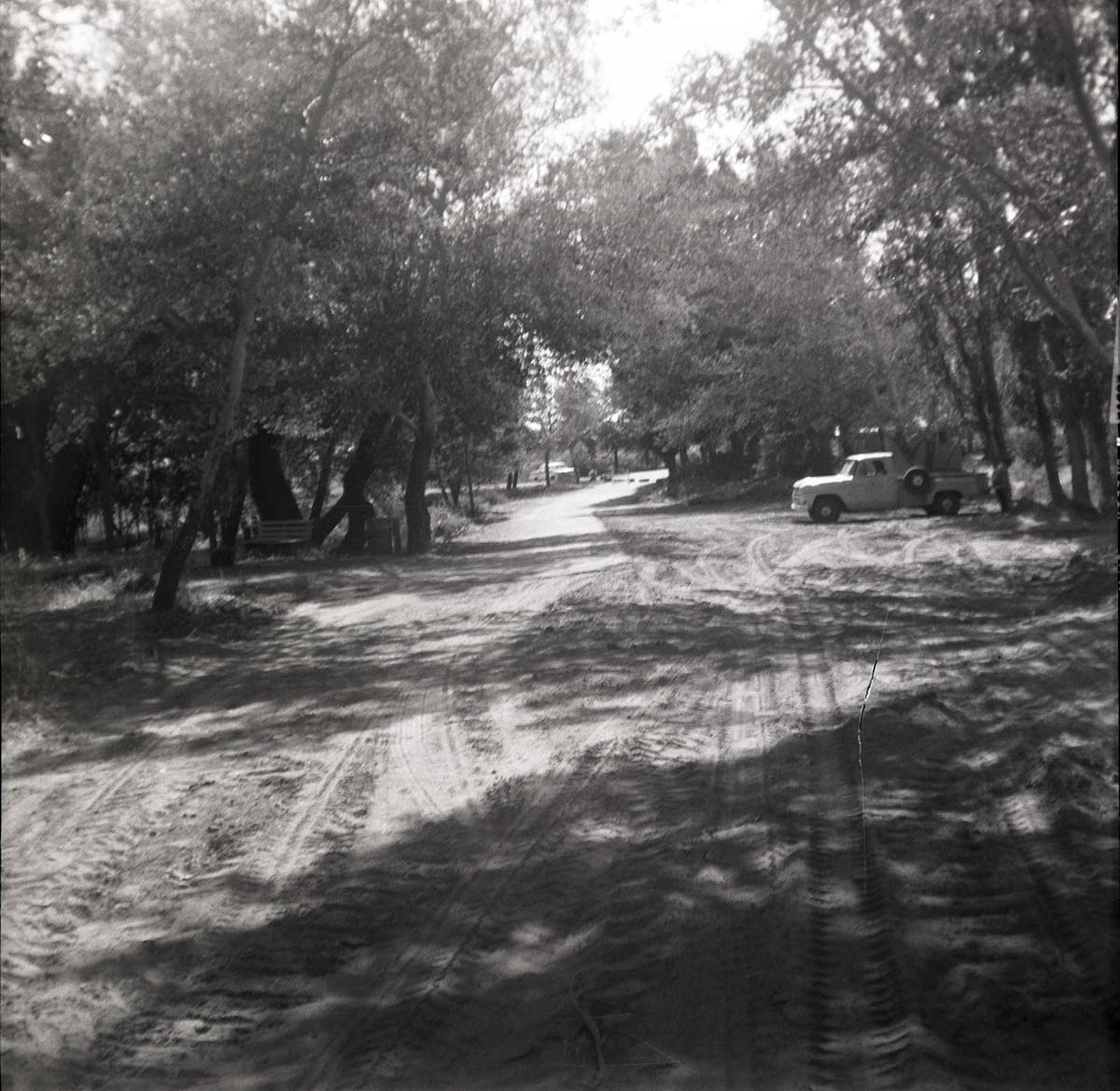 Dirt roads in the South Campground.