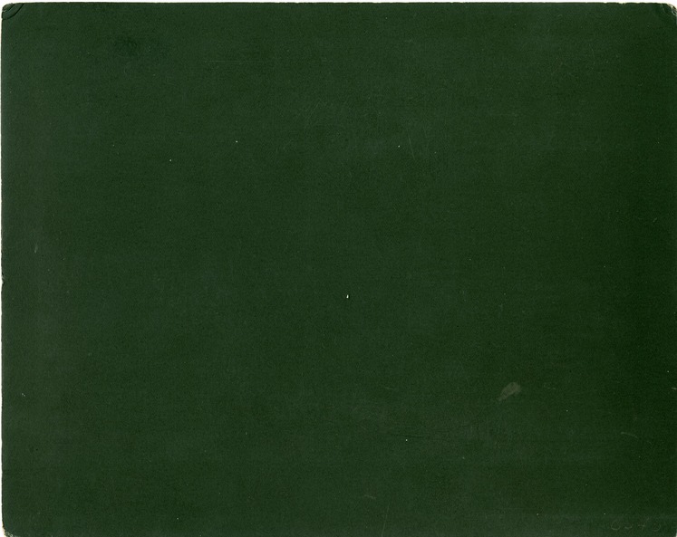 Large Group on the West End of Reno Hill