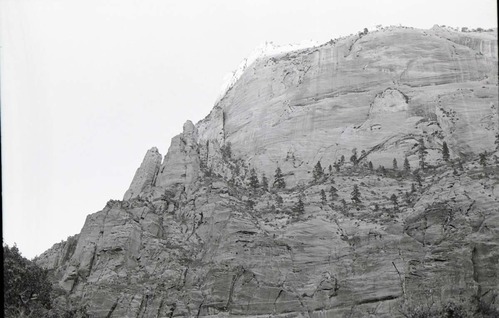 BW photo of the 1937 grazing study 35MM.
