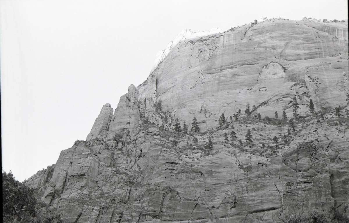 BW photo of the 1937 grazing study 35MM.