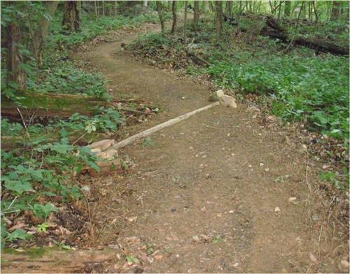 CHCH YCC Mt. Beautiful Trail Rehabilitation