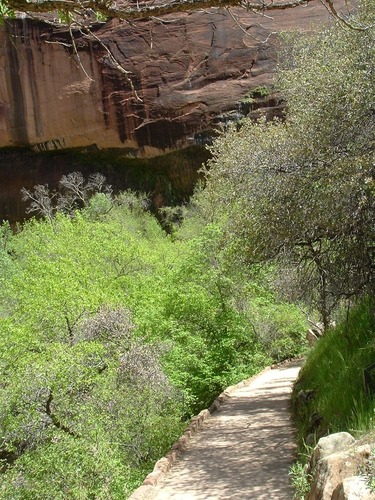Weeping Rock Trail 3