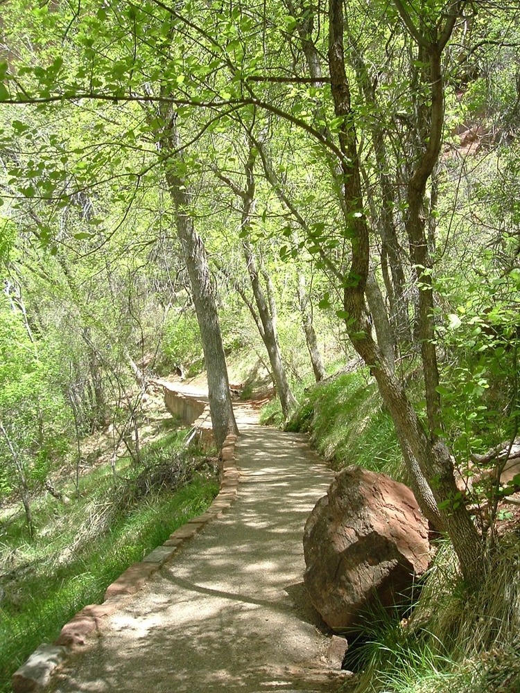 Weeping Rock Trail 4