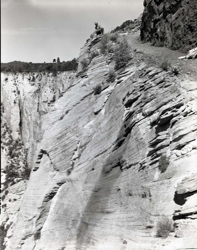 Visitor fatality off East Rim Trail.