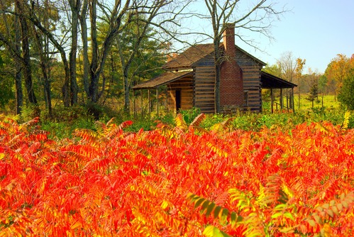 Bright red sumac provide a beautiful foreground for the historic Robert Scruggs House.