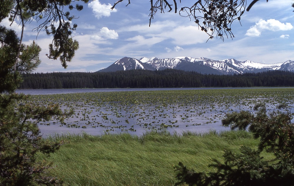Riddle Lake, Mt. Sheridan and Red Mountains; 1976; Accession No. 03601
