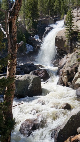 Alberta Falls