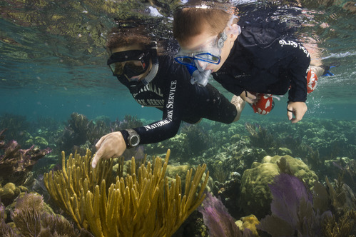 Jr. Ranger snorkeling a reef