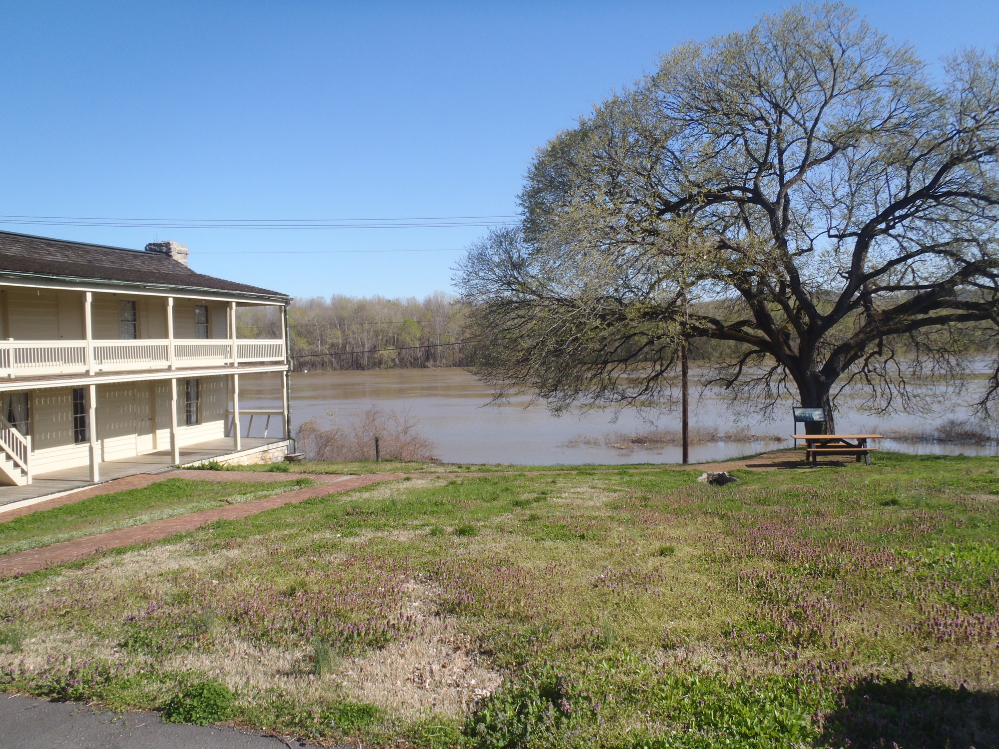 hotel with tree and river