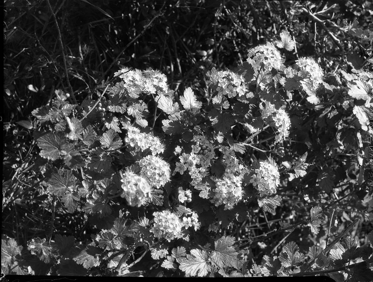 Rocky Mountain National Park