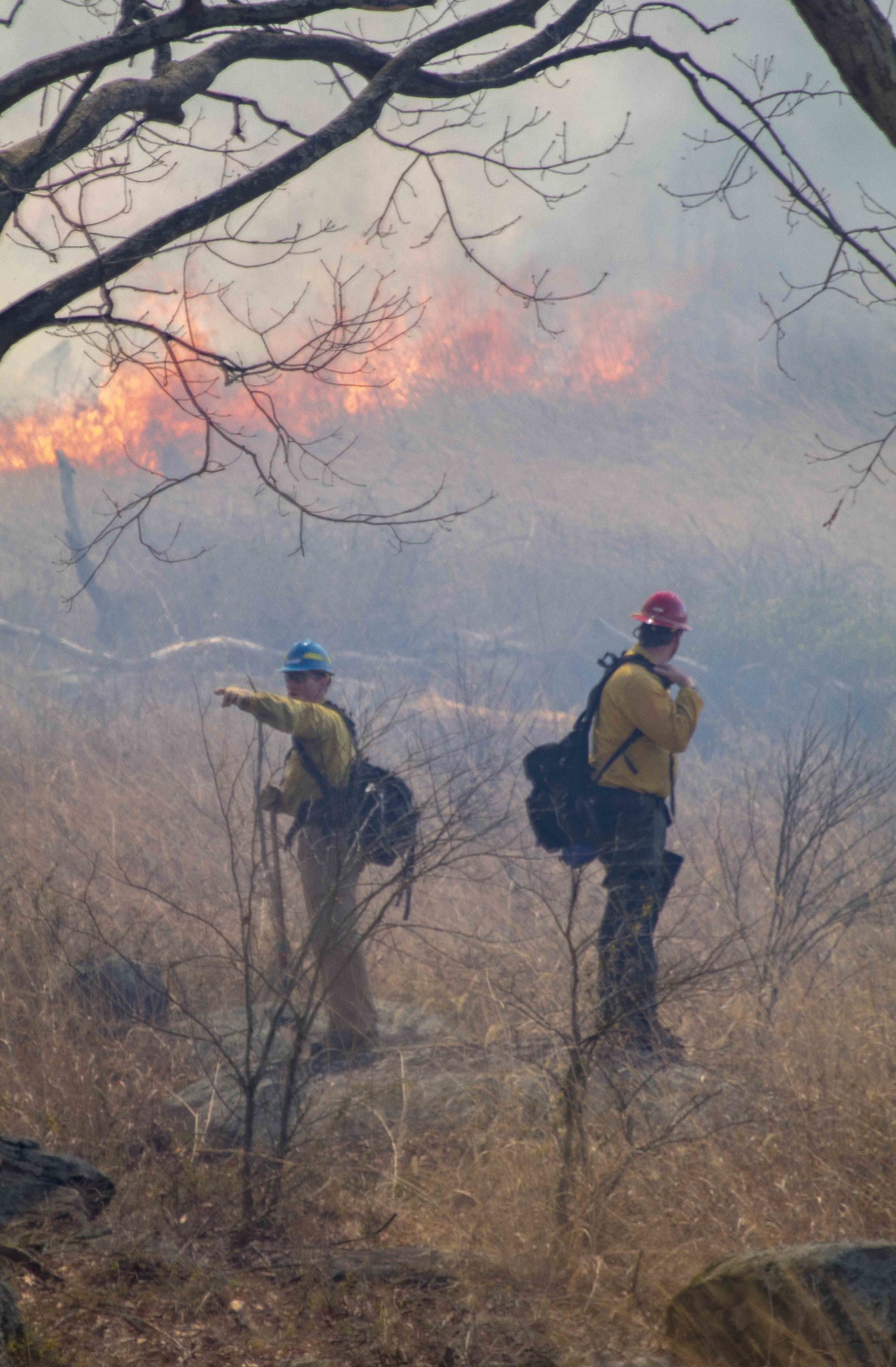 Two firefighters monitor the prescribed fire as it slowly moves downhill.