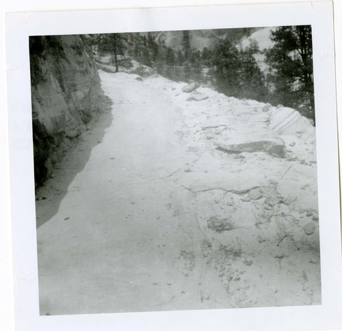 General view of the East Rim trail.