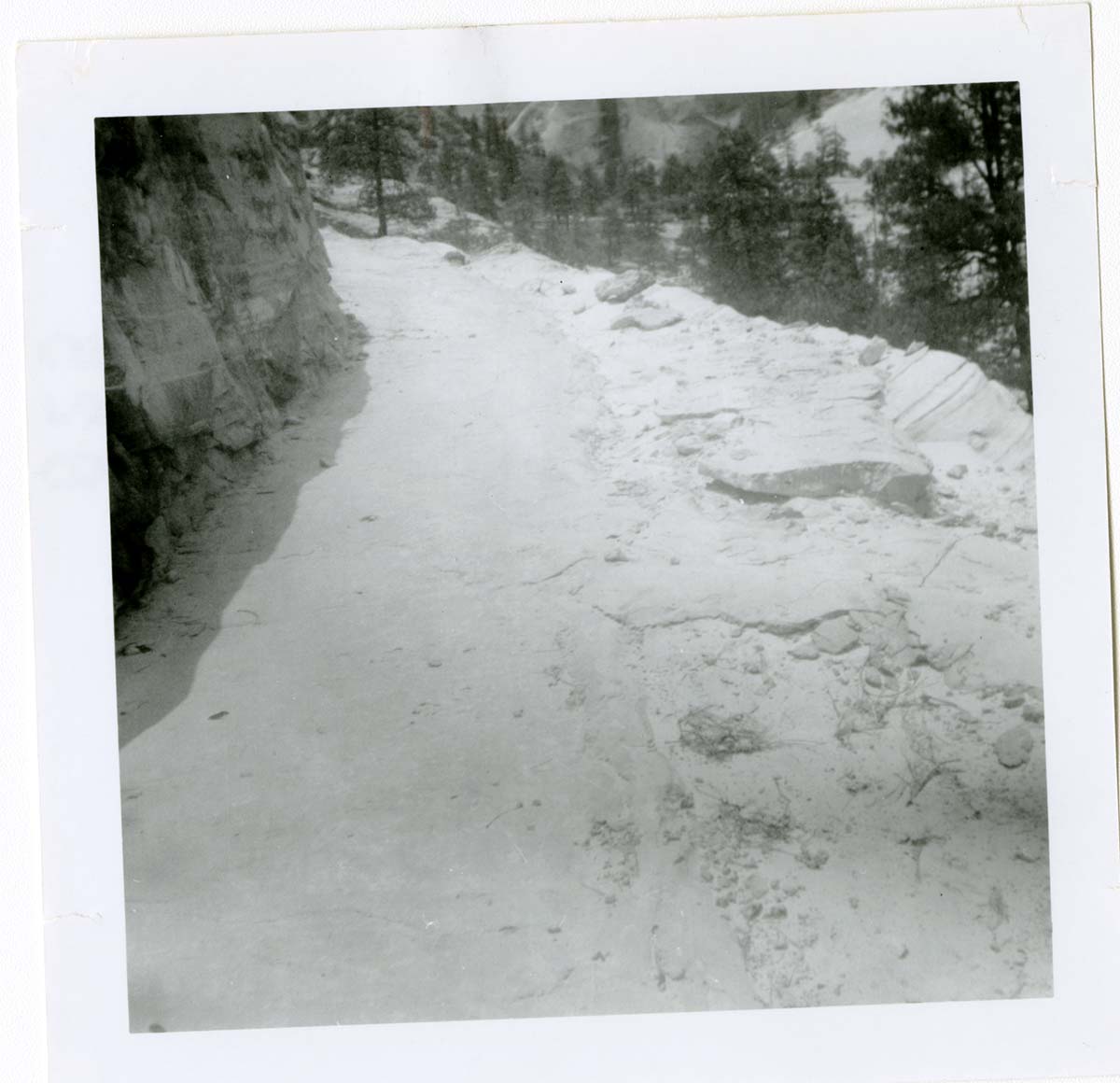 General view of the East Rim trail.