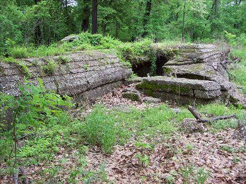 FOFO-Existing Conditions at Fort Foote Park, May 7, 2009